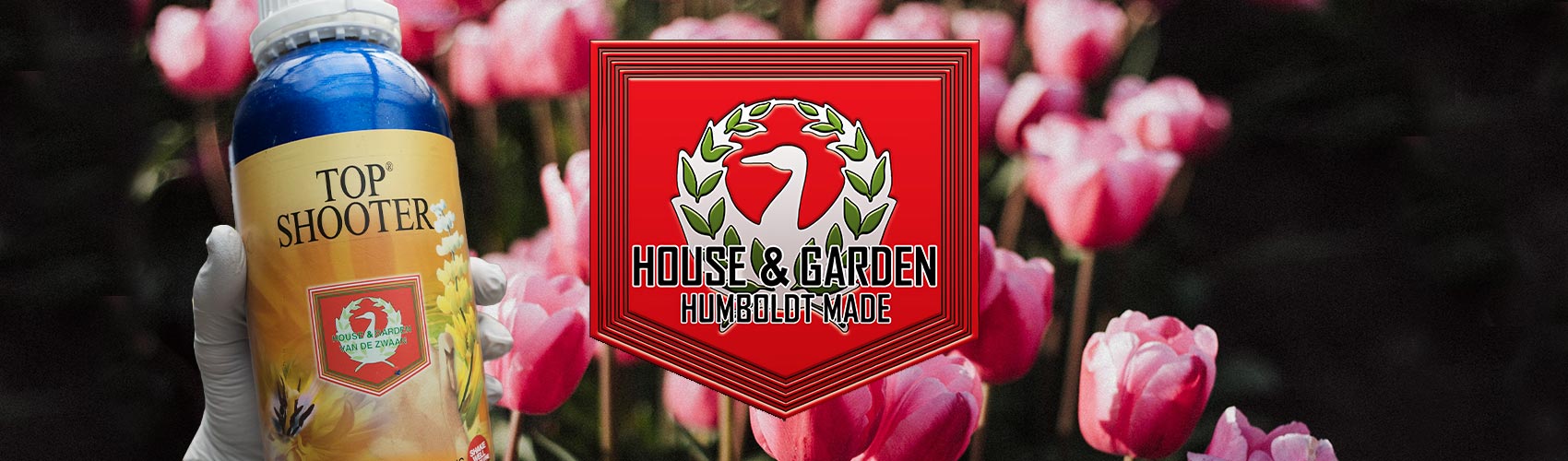 House & Garden