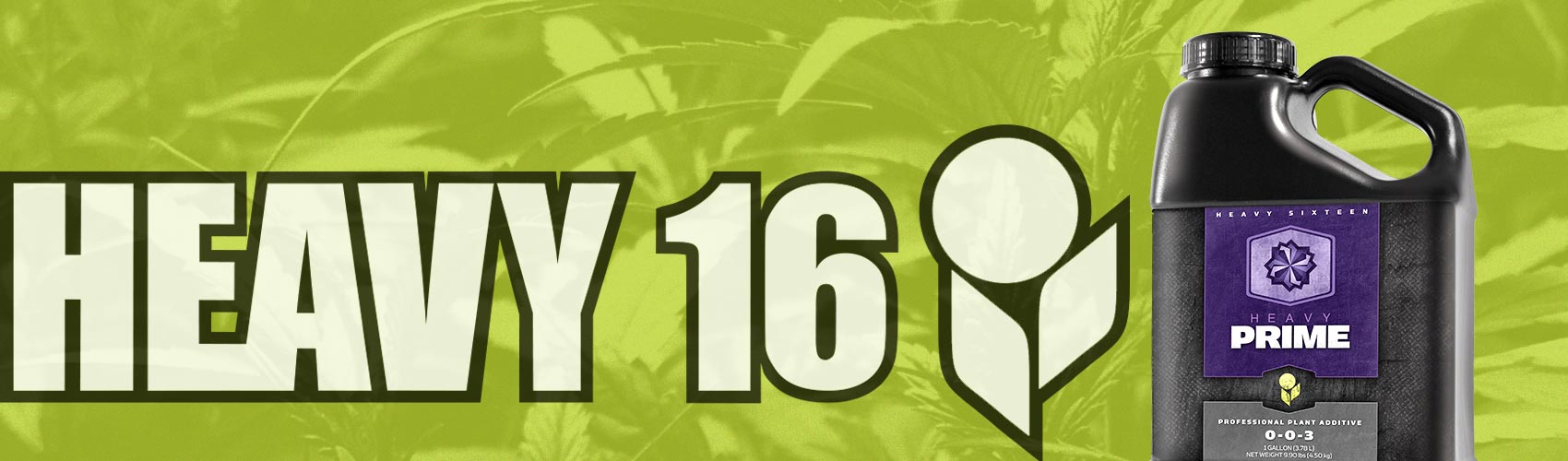 Heavy 16