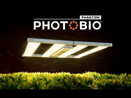 Picture of Phantom Photobio•MX