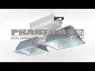 Picture of Phantom Dual 315W CMH System w/Philips Lamps, 120-240V