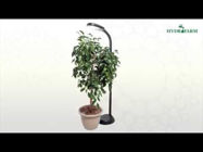 Picture of Agrobrite Standing Plant Lamp