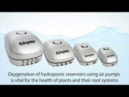 Picture of Active Aqua Air Pumps
