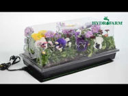 Picture of Hydrofarm Hot House with Heat Mat, tray, 72 cell insert, 7.5" humidity dome