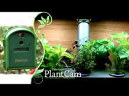 Picture of Timelapse PlantCam Commercial