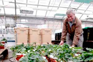 Show details for We have smart phones, so why not smart gardens?
